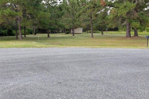 Land in Lake Butler, Florida № 1829428 - photo 6