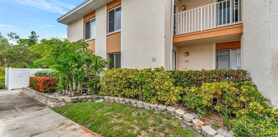 Condo à Saint Petersburg, Floride, 2 chambres  № 2114499