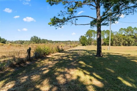 Land in San Antonio, Florida № 215435 - photo 14