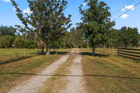 Land in San Antonio, Florida № 215435 - photo 15