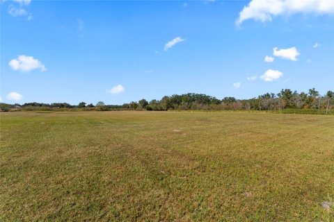 Land in San Antonio, Florida № 215435 - photo 13