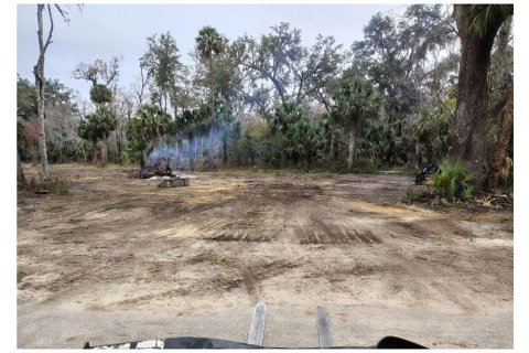 Land in Lake Panasoffkee, Florida № 2384494 - photo 2