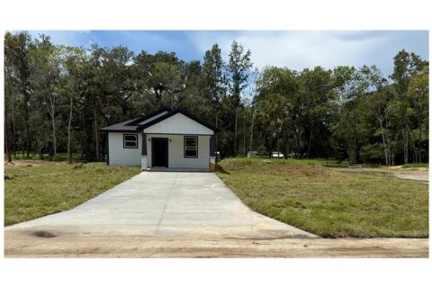 Land in Lake Panasoffkee, Florida № 2384494 - photo 3