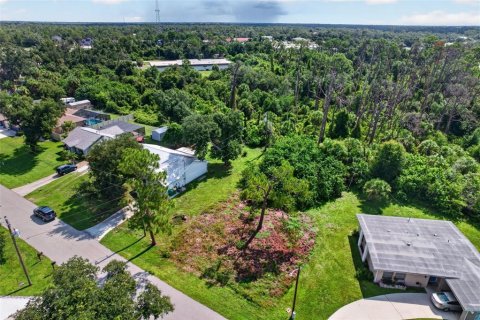 Land in Port Charlotte, Florida № 2277177