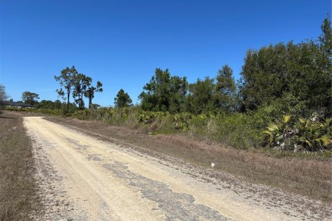 Land in Lehigh Acres, Florida № 2224138 - photo 2