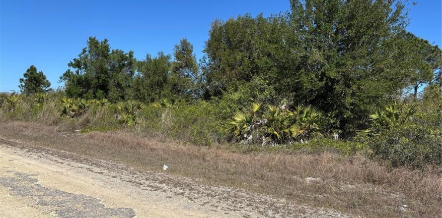 Land in Lehigh Acres, Florida № 2224138