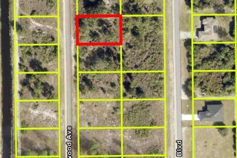 Land in Lehigh Acres, Florida № 2224138 - photo 4