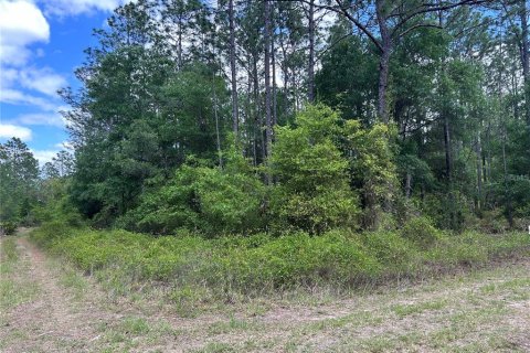 Land in Ocala, Florida № 2207697