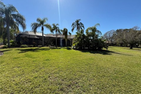 Casa en venta en Odessa, Florida, 6 dormitorios, 531.31 m2 № 1562987 - foto 10
