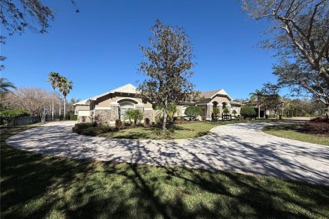 Casa en venta en Odessa, Florida, 6 dormitorios, 531.31 m2 № 1562987 - foto 4