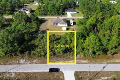 Terreno en Lehigh Acres, Florida № 2202980