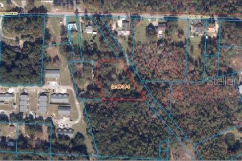 Land in Century, Florida № 2163450 - photo 3
