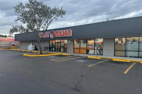 Immobilier commercial à louer à Tampa, Floride: 1505.02 m2 № 2224875 - photo 2