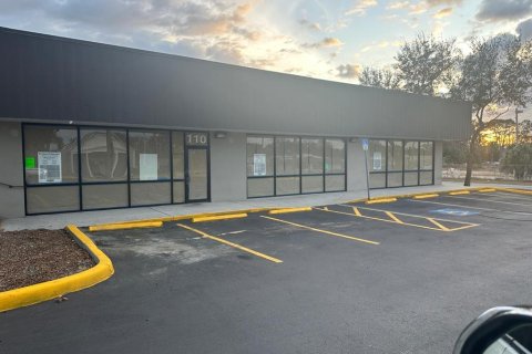 Commercial property in Tampa, Florida 1505.02 sq.m. № 2224875