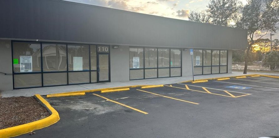 Immobilier commercial à Tampa, Floride 1505.02 m2 № 2224875