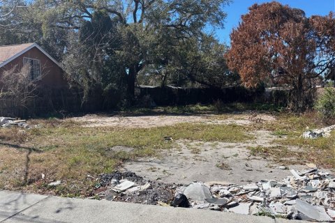 Land in Orlando, Florida № 2118750