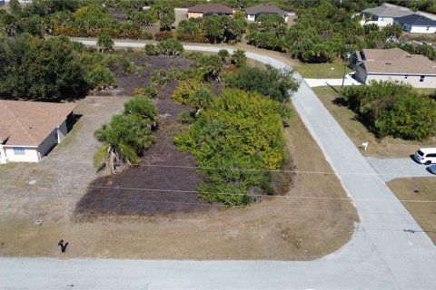Land in Port Charlotte, Florida № 2161104 - photo 2