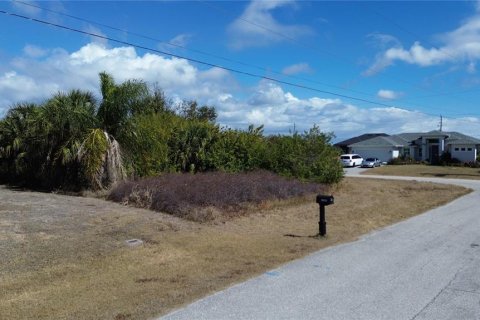 Land in Port Charlotte, Florida № 2161104 - photo 11