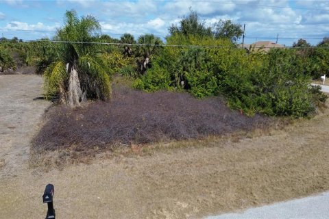 Land in Port Charlotte, Florida № 2161104 - photo 12