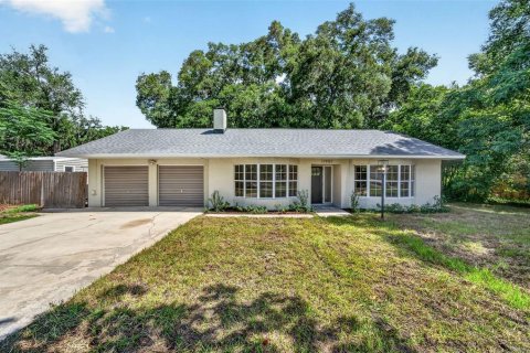 Villa ou maison à Umatilla, Floride 2 chambres, 149.29 m2 № 2273245