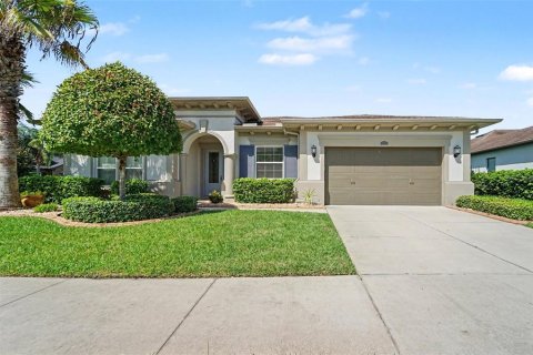House in Wesley Chapel, Florida 4 bedrooms, 270.35 sq.m. № 2310062