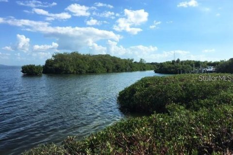 Copropriété à vendre à Tierra Verde, Floride: 2 chambres, 77.11 m2 № 2205000 - photo 16