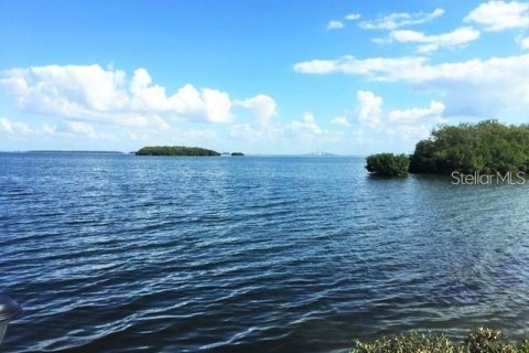 Copropriété à vendre à Tierra Verde, Floride: 2 chambres, 77.11 m2 № 2205000 - photo 3