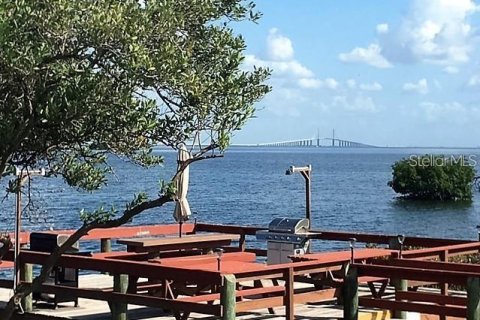 Copropriété à vendre à Tierra Verde, Floride: 2 chambres, 77.11 m2 № 2205000 - photo 5