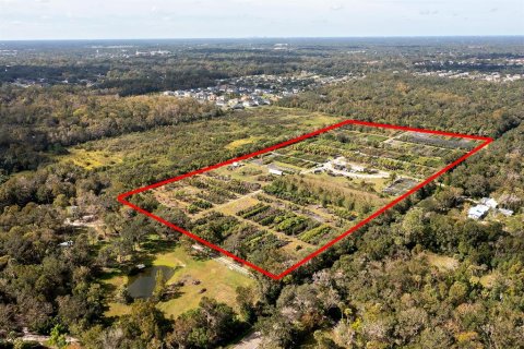 Terreno en venta en Oviedo, Florida № 1139479 - foto 2