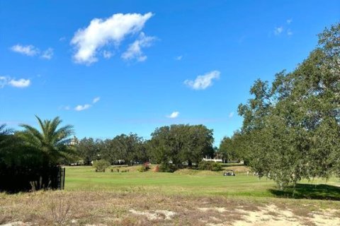 Land in Kissimmee, Florida № 1533875 - photo 6