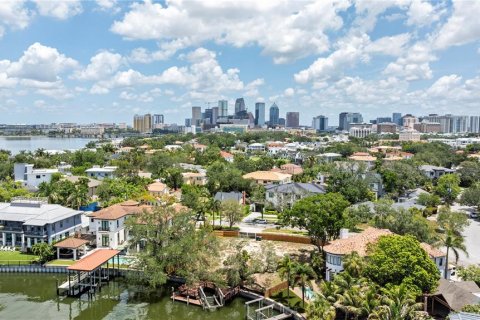 Land in Tampa, Florida № 2149317 - photo 14