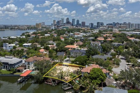 Land in Tampa, Florida № 2149317 - photo 3