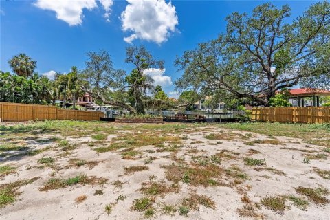 Land in Tampa, Florida № 2149317 - photo 17