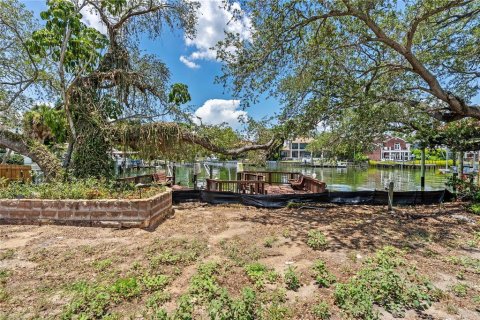 Land in Tampa, Florida № 2149317 - photo 9