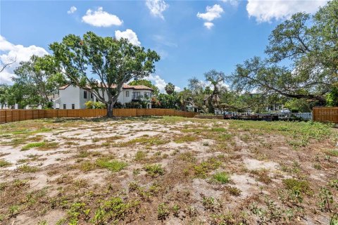 Land in Tampa, Florida № 2149317 - photo 7