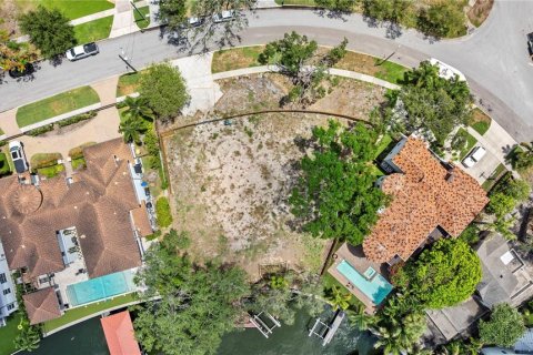 Land in Tampa, Florida № 2149317 - photo 19