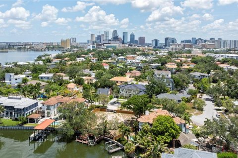 Land in Tampa, Florida № 2149317 - photo 6