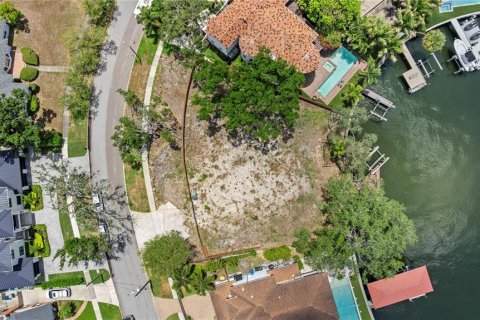 Land in Tampa, Florida № 2149317 - photo 13