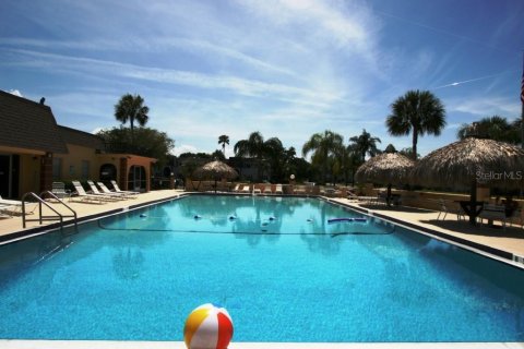 Copropriété à louer à Clearwater, Floride: 1 chambre, 80.17 m2 № 2117509 - photo 2