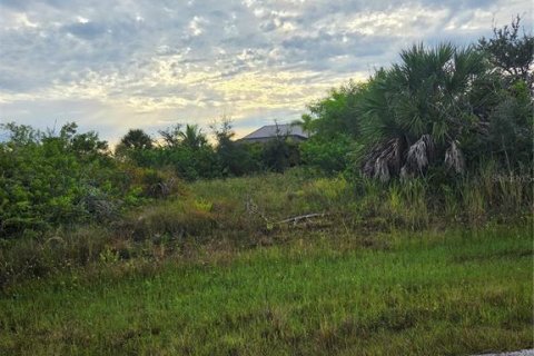 Land in Port Charlotte, Florida № 2378077 - photo 3