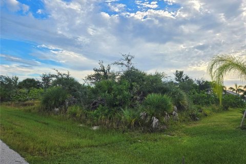 Land in Port Charlotte, Florida № 2378077 - photo 4