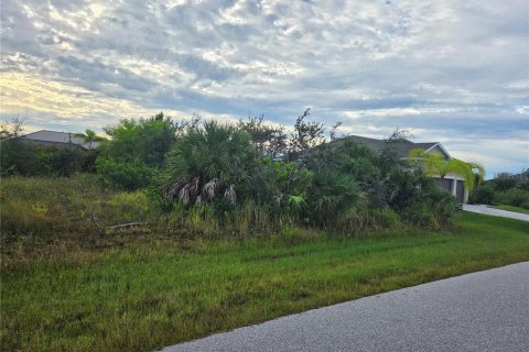 Land in Port Charlotte, Florida № 2378077 - photo 2