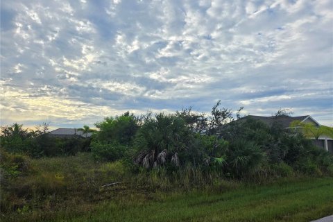 Land in Port Charlotte, Florida № 2378077 - photo 5