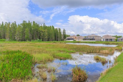 Villa ou maison à louer à Land O' Lakes, Floride: 3 chambres, 156.26 m2 № 1736594 - photo 21