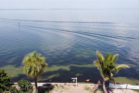 Casa en venta en Saint Petersburg, Florida, 5 dormitorios, 579.99 m2 № 1909686 - foto 9