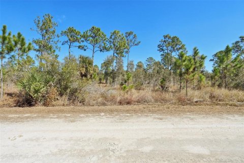 Land in Punta Gorda, Florida № 2159505