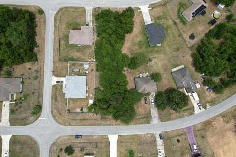 Land in Ocala, Florida № 2159842 - photo 3