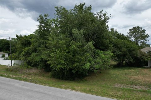 Land in Ocala, Florida № 2159842 - photo 5