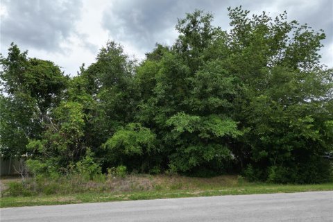 Land in Ocala, Florida № 2159842 - photo 4