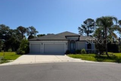 House in Sun City Center, Florida 4 bedrooms, 269.23 sq.m. № 2236566